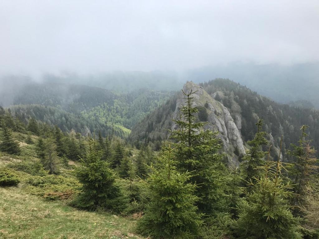Apartament Ovo Sinaia Dış mekan fotoğraf
