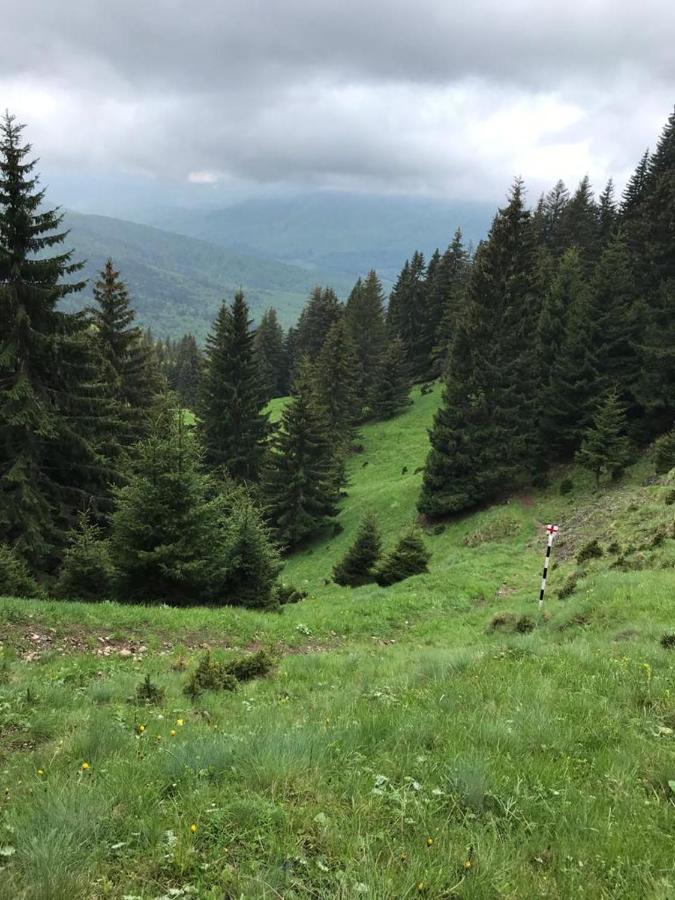 Apartament Ovo Sinaia Dış mekan fotoğraf
