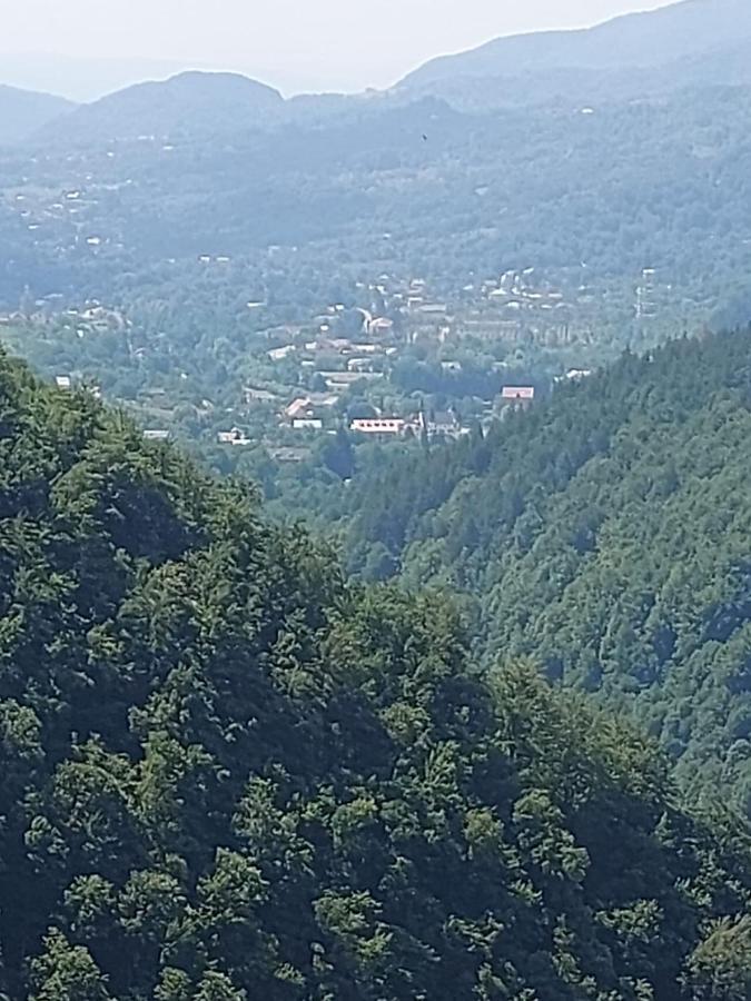 Apartament Ovo Sinaia Dış mekan fotoğraf