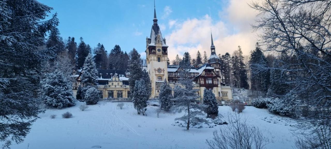 Apartament Ovo Sinaia Dış mekan fotoğraf