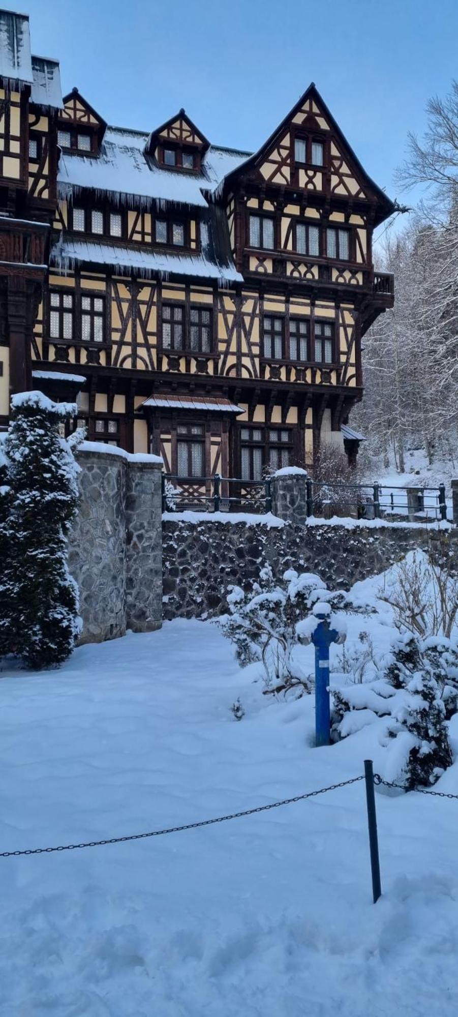 Apartament Ovo Sinaia Dış mekan fotoğraf