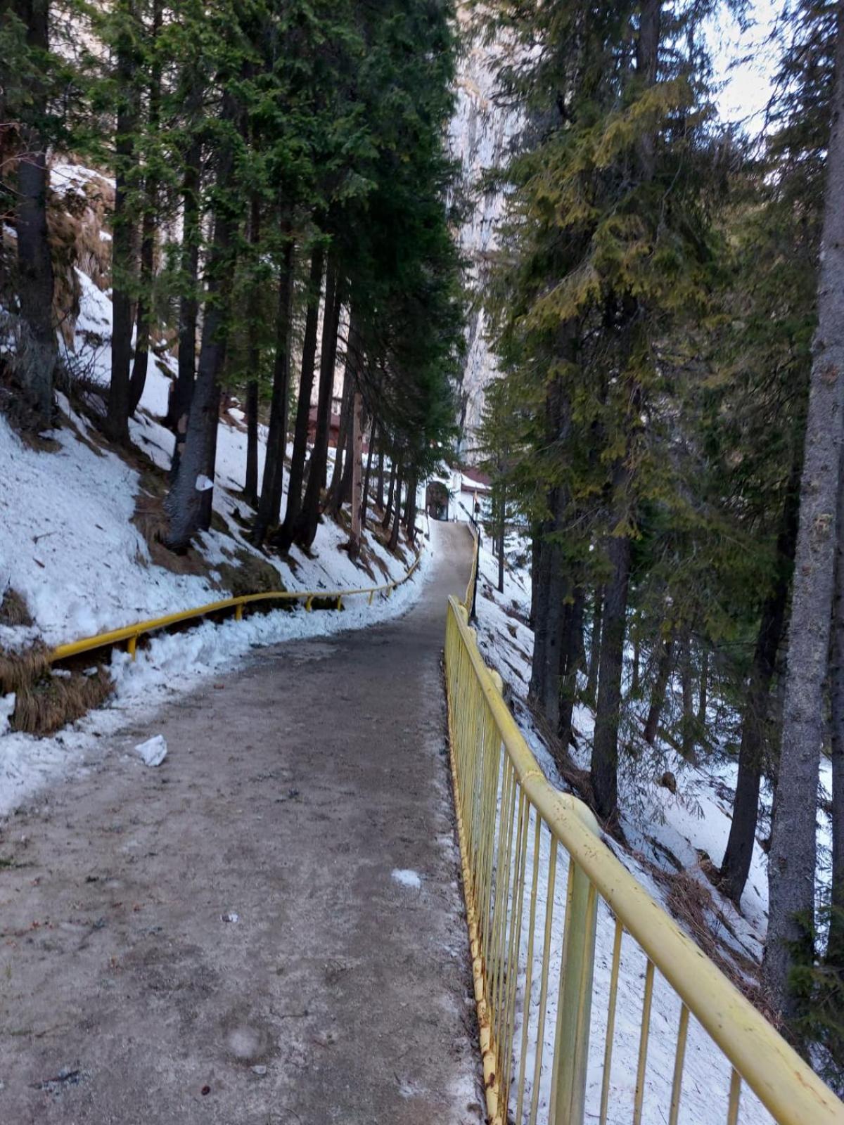 Apartament Ovo Sinaia Dış mekan fotoğraf