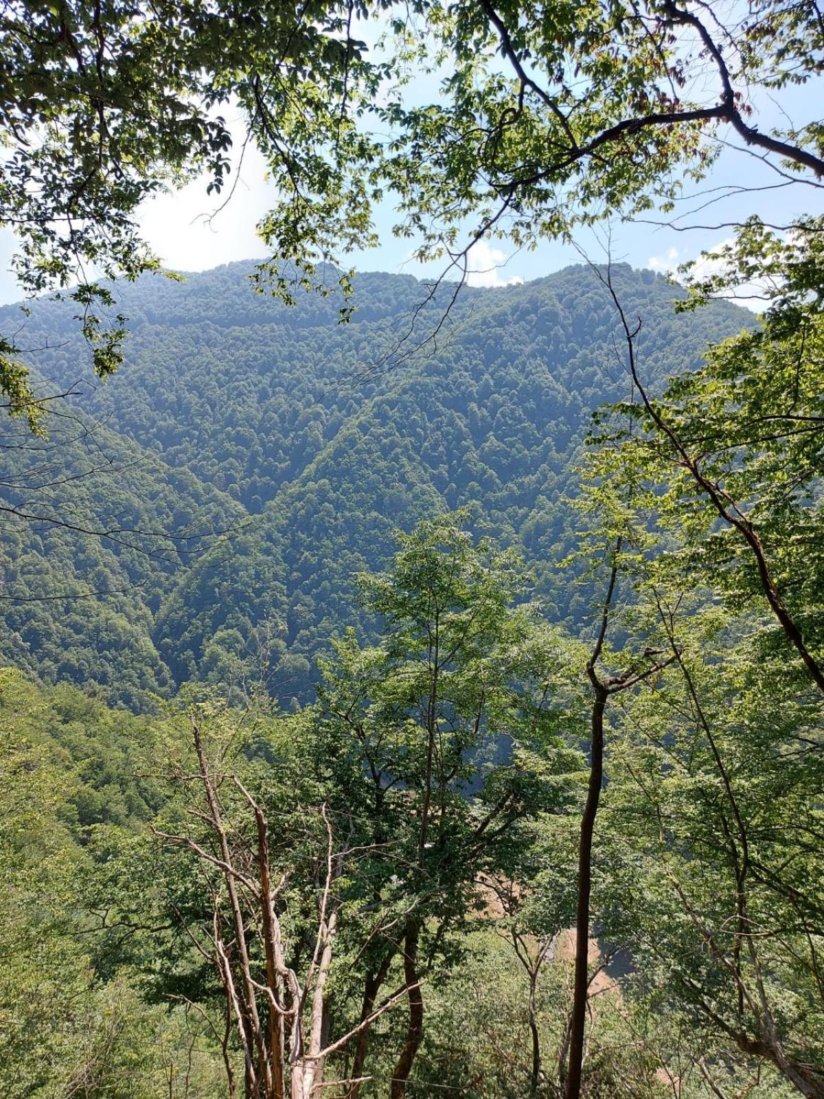 Apartament Ovo Sinaia Dış mekan fotoğraf
